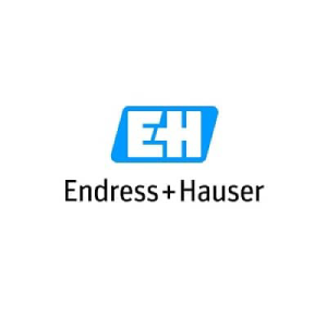 endress+hauser